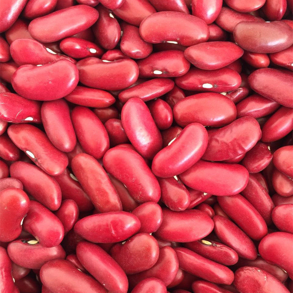 Dark Red Kidney Beans 英国红芸豆